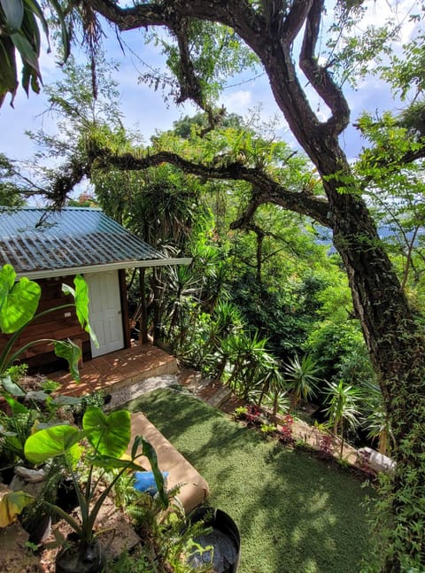 Natural landscape, Garden view