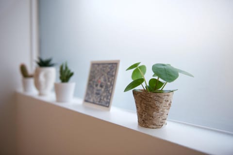 CHARMING Parisian Apartment WITH AIR CONDITIONING - CLIMATISATION & 2 BEDROOMS - Batignolles PARIS Apartment in Paris