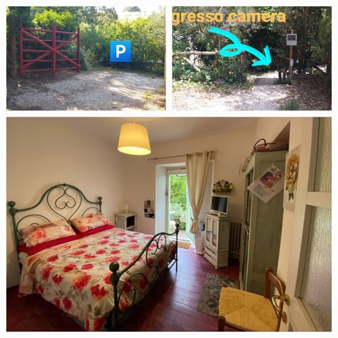 L'ANGOLINO, Casale vita nova Bed and Breakfast in Lazio