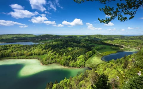 Studio Lilou cocon design au cœur de Lons Apartment in Jura