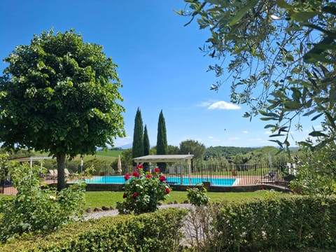 Summer, Garden