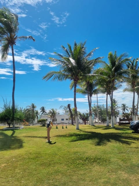 Garden, Sea view
