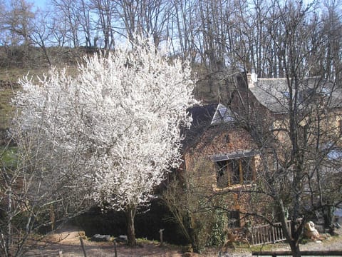 Property view
