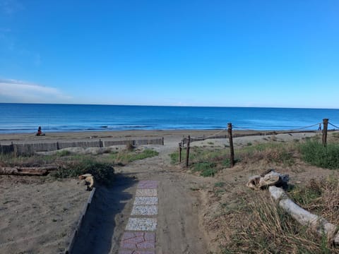 Natural landscape, Beach
