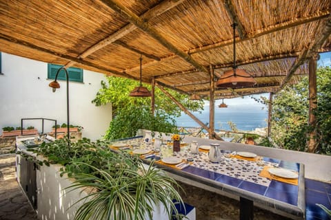 Patio, Garden, Dining area, kitchen