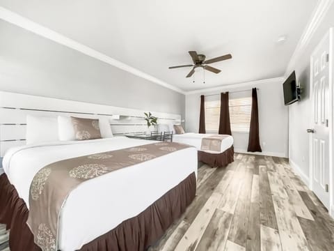 TV and multimedia, Photo of the whole room, Bedroom