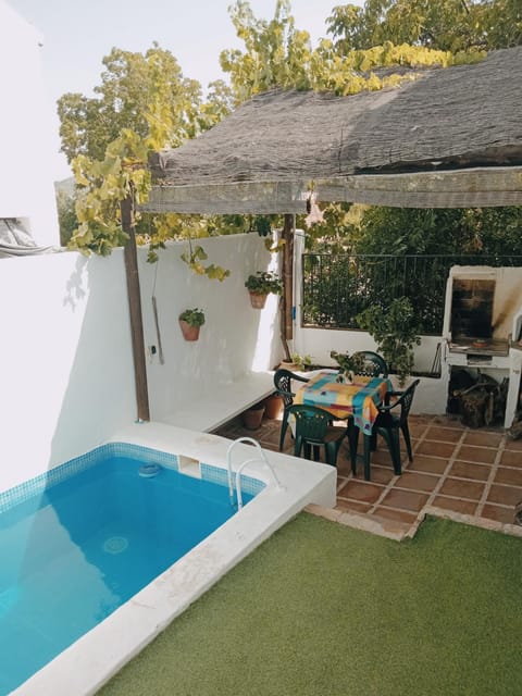 Garden, Swimming pool