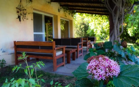 Garden, Balcony/Terrace