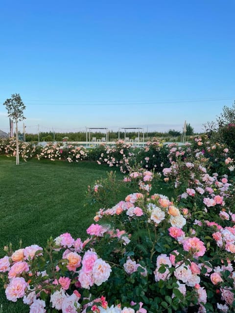 Alta Area Apartment hotel in Basilicata