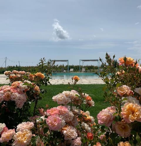 Alta Area Apartment hotel in Basilicata