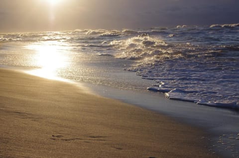 Natural landscape