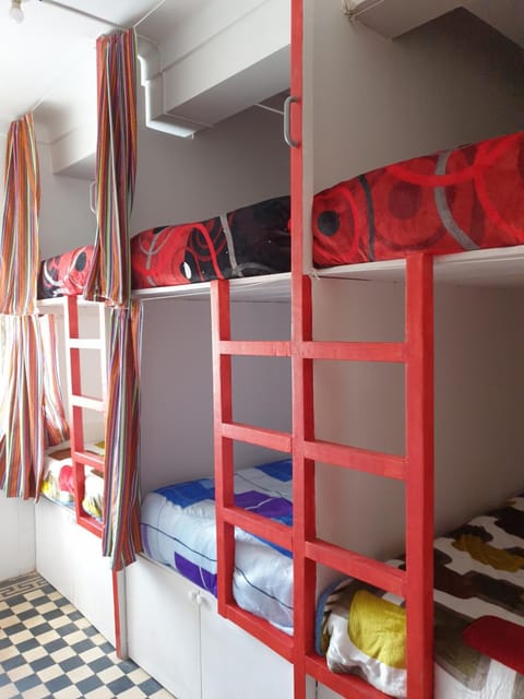 Bed, Photo of the whole room, Bedroom, bunk bed