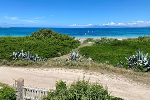 Natural landscape, Beach, Sea view