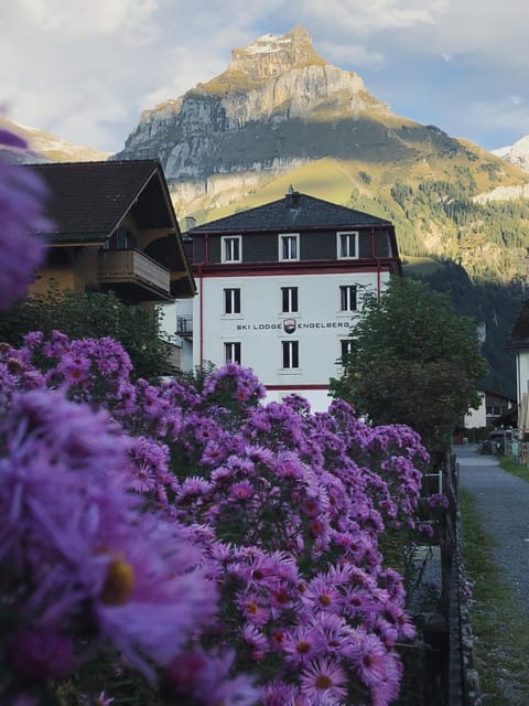 Property building, Spring, Day, Natural landscape, Mountain view