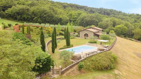 Bird's eye view, Swimming pool