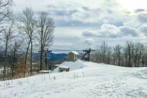 Okemo Condo Apartment in Mount Holly