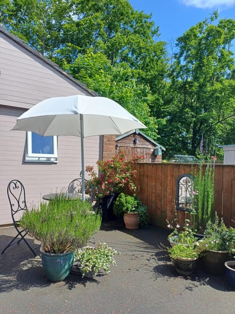 Patio, Garden, Garden view