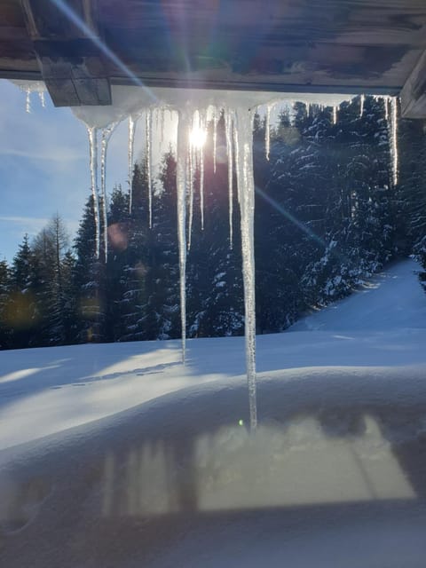 Natural landscape, Winter