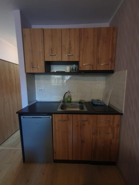 Mechka ski apartment Apartment in Blagoevgrad Province