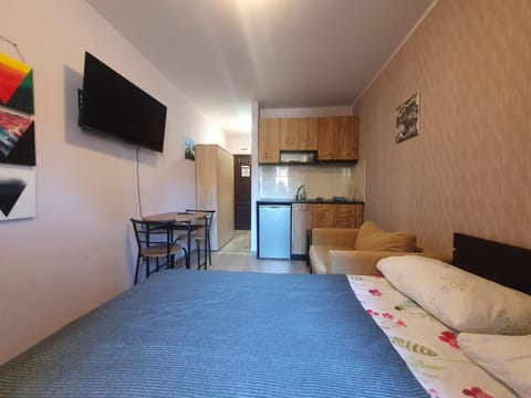 Mechka ski apartment Apartment in Blagoevgrad Province