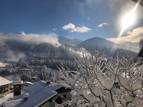 Winter, Mountain view
