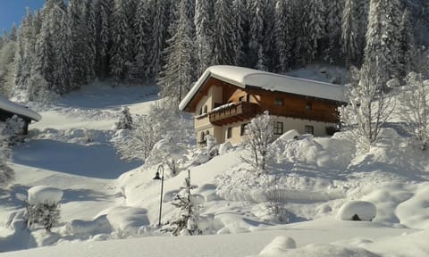 Property building, Winter