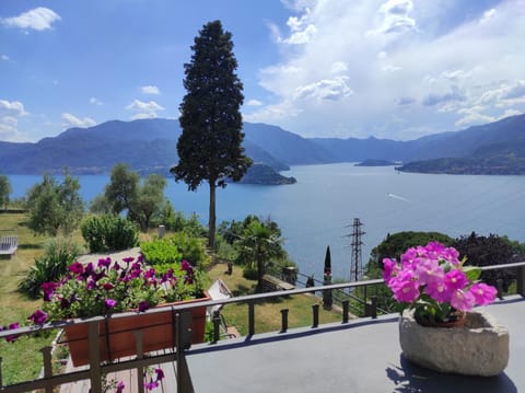 Lake view