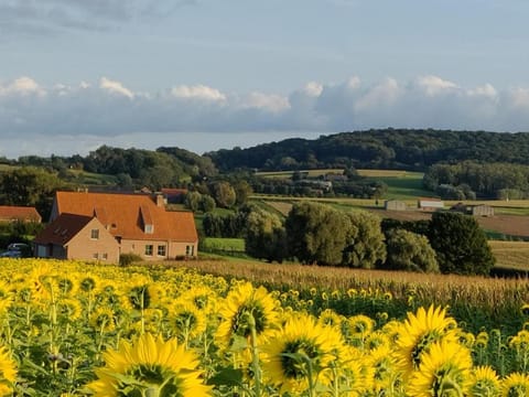 B&B De Zavelaar Bed and Breakfast in Ypres