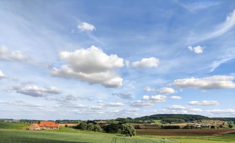 B&B De Zavelaar Bed and Breakfast in Ypres