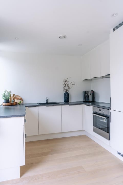 Modern Villas in Plush town Villa in Tromso