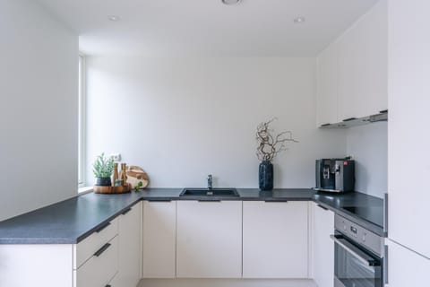 Modern Villas in Plush town Villa in Tromso