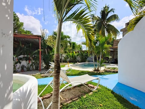 Garden view, Swimming pool, Swimming pool, sunbed