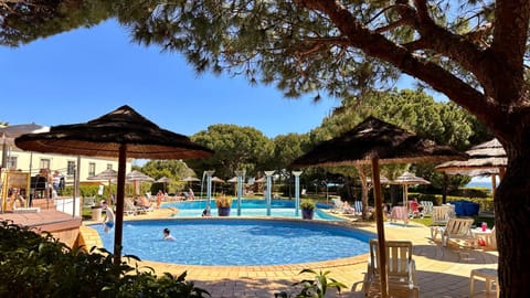 Garden, Pool view, Swimming pool, sunbed
