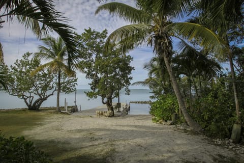 Natural landscape, Sea view