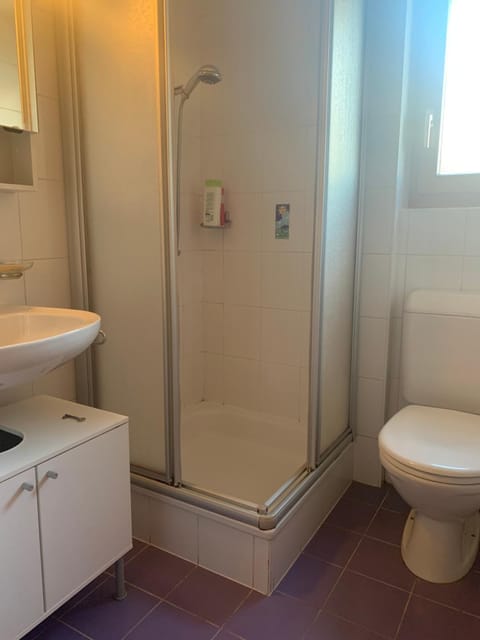 Appartement dans chalet Apartment in Canton of Valais