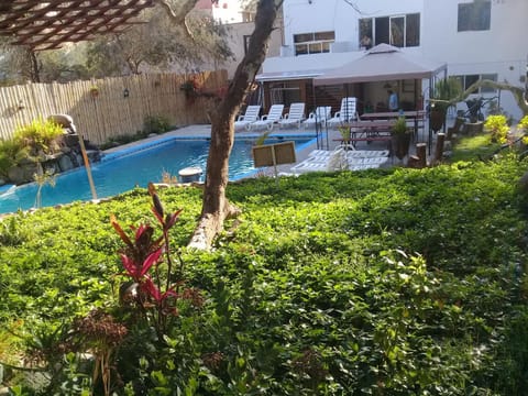 Garden, Pool view, Swimming pool