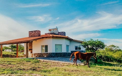 Property building, Animals