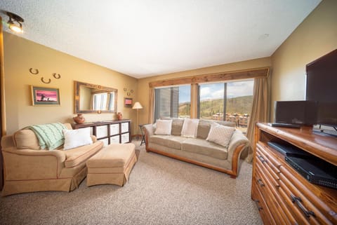 Day, TV and multimedia, View (from property/room), Living room, Seating area, Mountain view, furniture