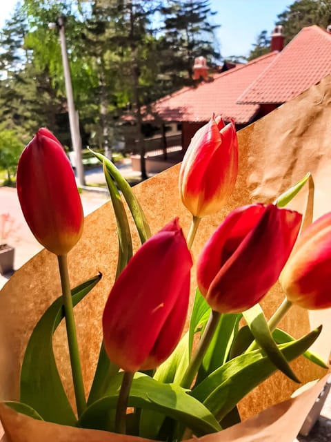 Apartman TRAG Divčibare Apartment in Zlatibor District, Serbia