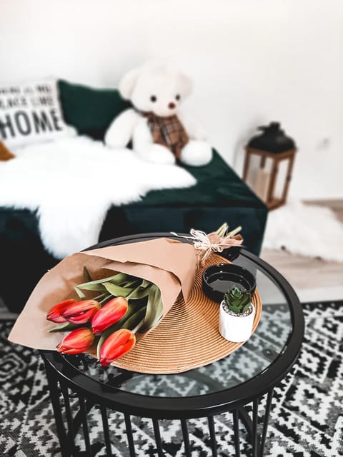 Apartman TRAG Divčibare Apartment in Zlatibor District, Serbia