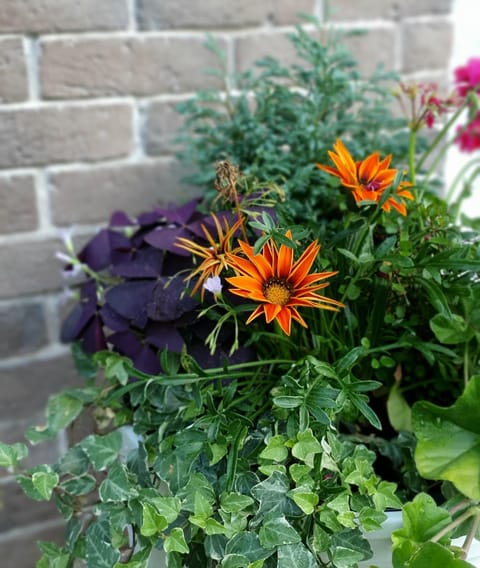 Casa mica Resita House in Timiș County