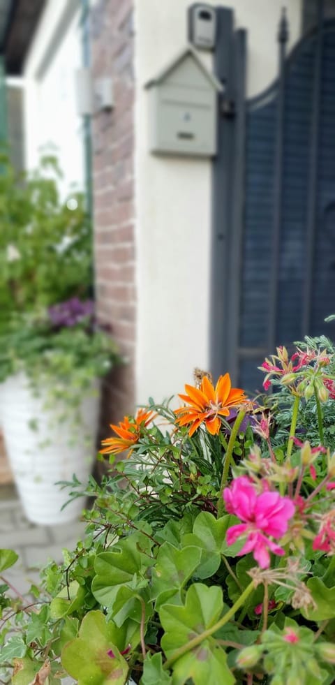 Casa mica Resita House in Timiș County