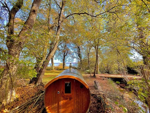 Garden, Sauna, Sauna