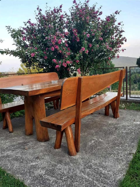 Spring, Day, Garden, Garden view