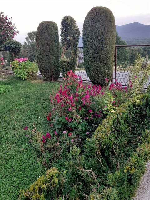 Spring, Natural landscape, Garden, Garden view