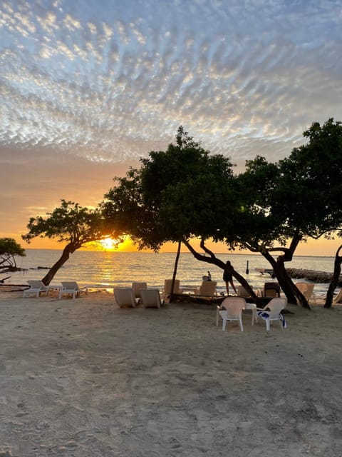Beach, Sunset
