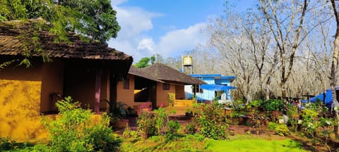 Property building, Garden, Garden view