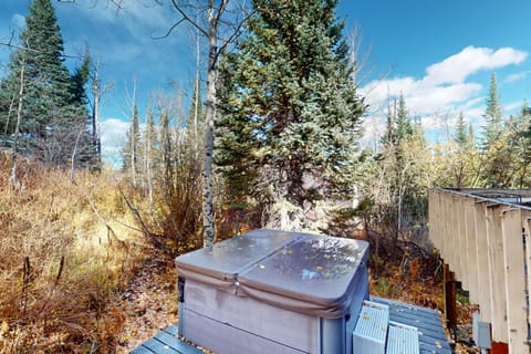 Wood Road House House in Snowmass Village