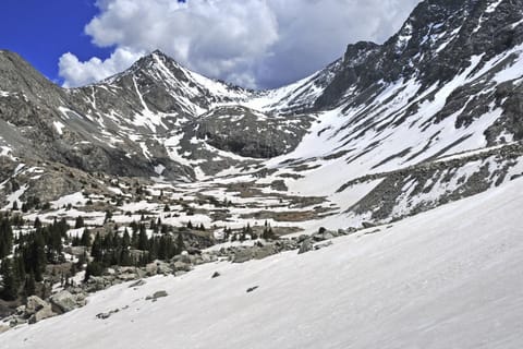 Bellflower Trout House House in Vail