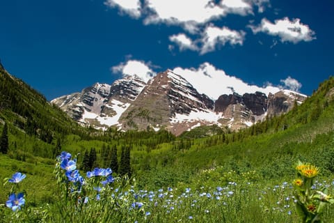Snowmas Village 84 Apartment in Snowmass Village